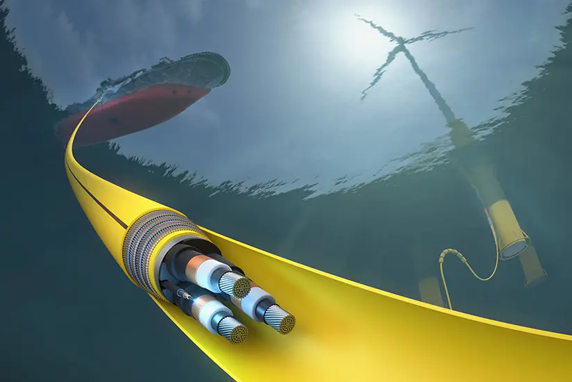 Renewable Energy Industry